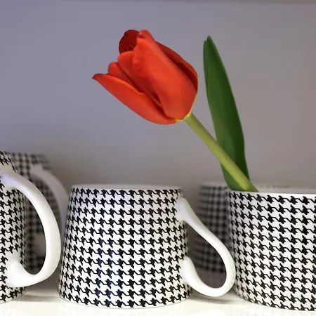 Apartament Soleil * Gdańsk